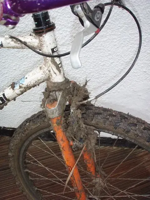 Muddy Inbred4.webp