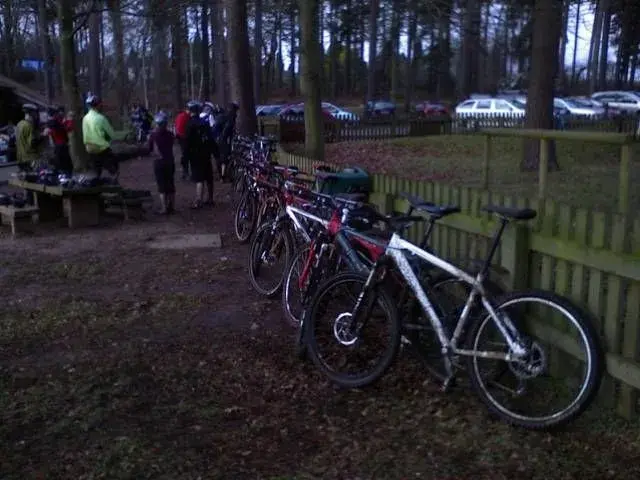retro lineup.webp