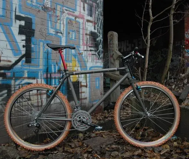 Elev12k's Moderator Pick - Raleigh Torus Ti.webp