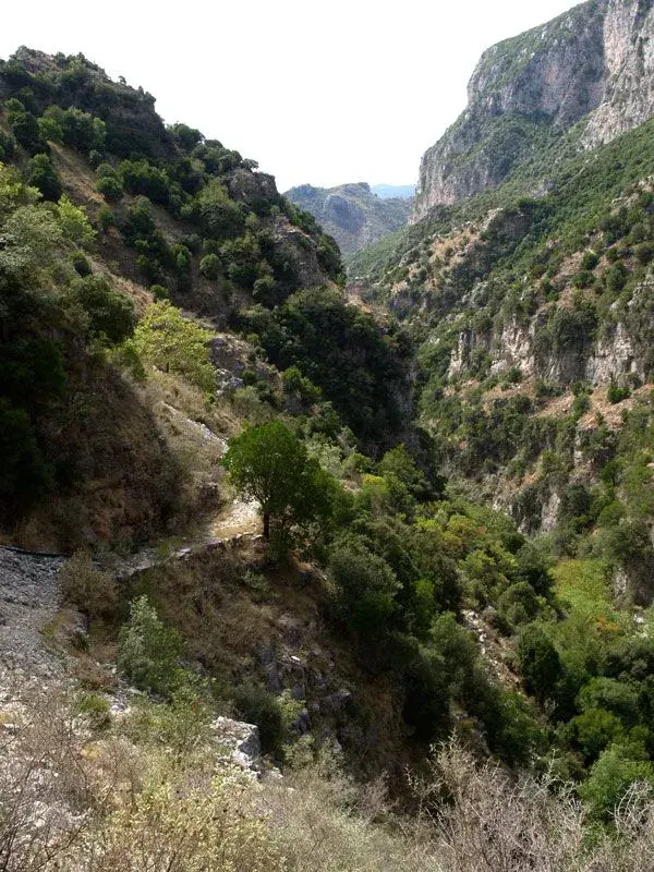 Koskarakos-gorge-2.webp