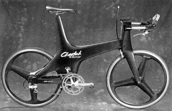 catbike2[1].webp