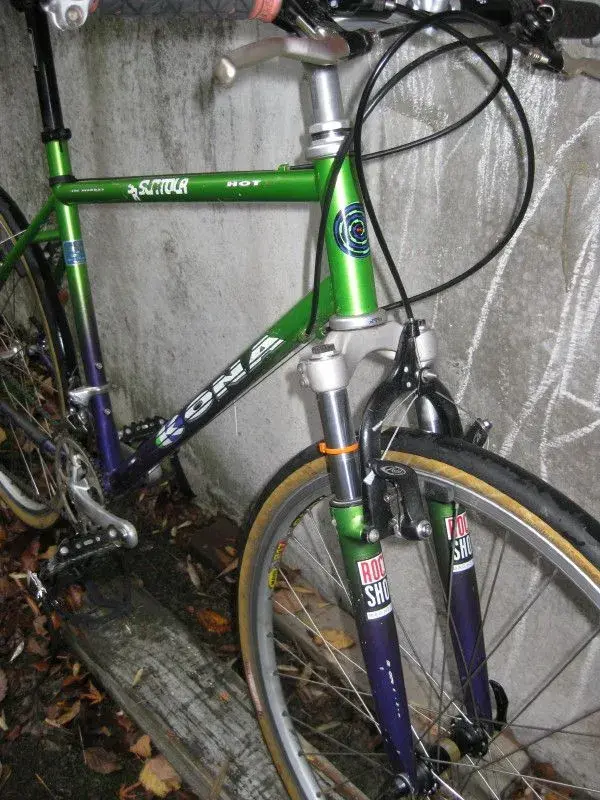 IMG_3069_1_1.webp