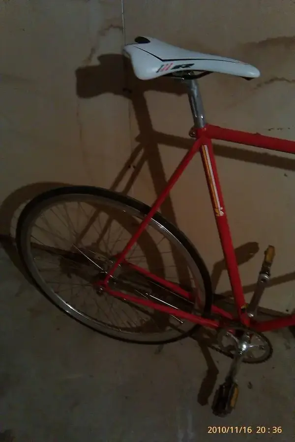Schwinn3.webp