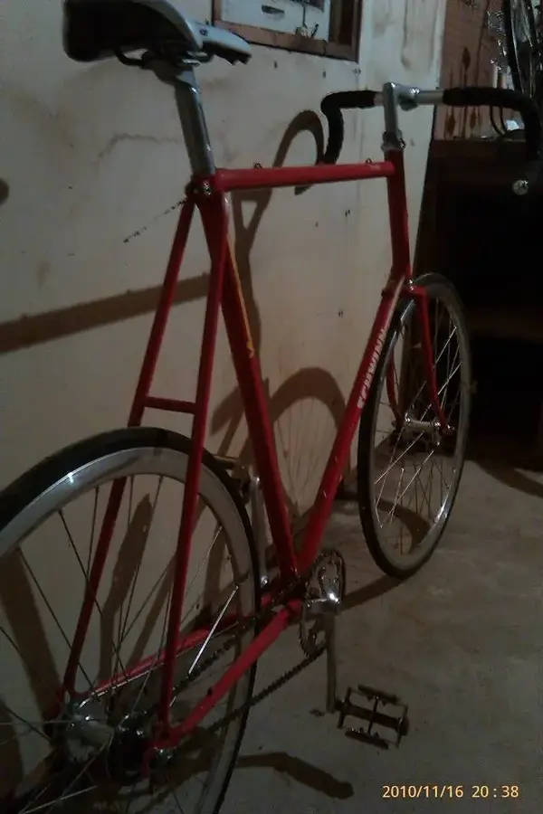 Schwinn2.webp