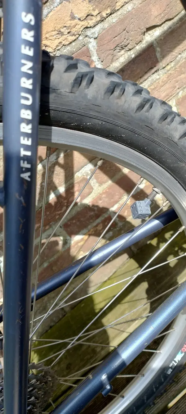 IMG_20240615_112426616_HDR.webp