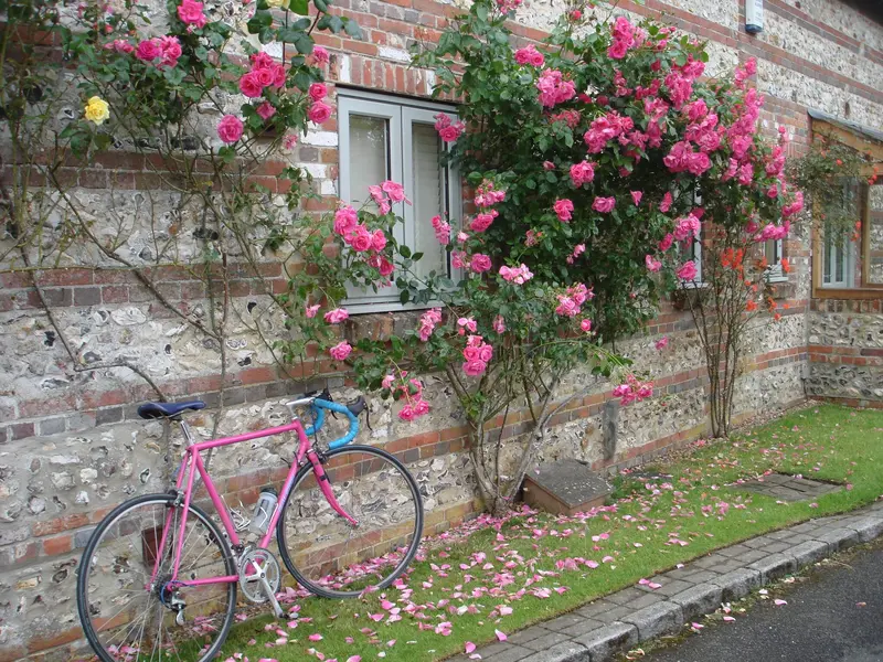 DSC01192.webp