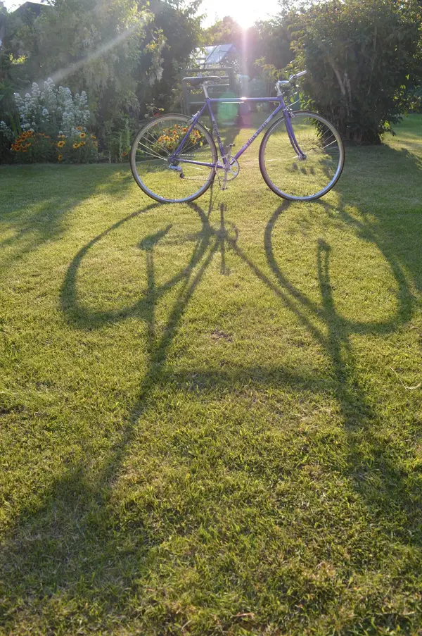 Shadow Rourke.webp