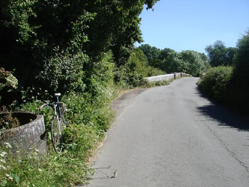 DSC01204.webp