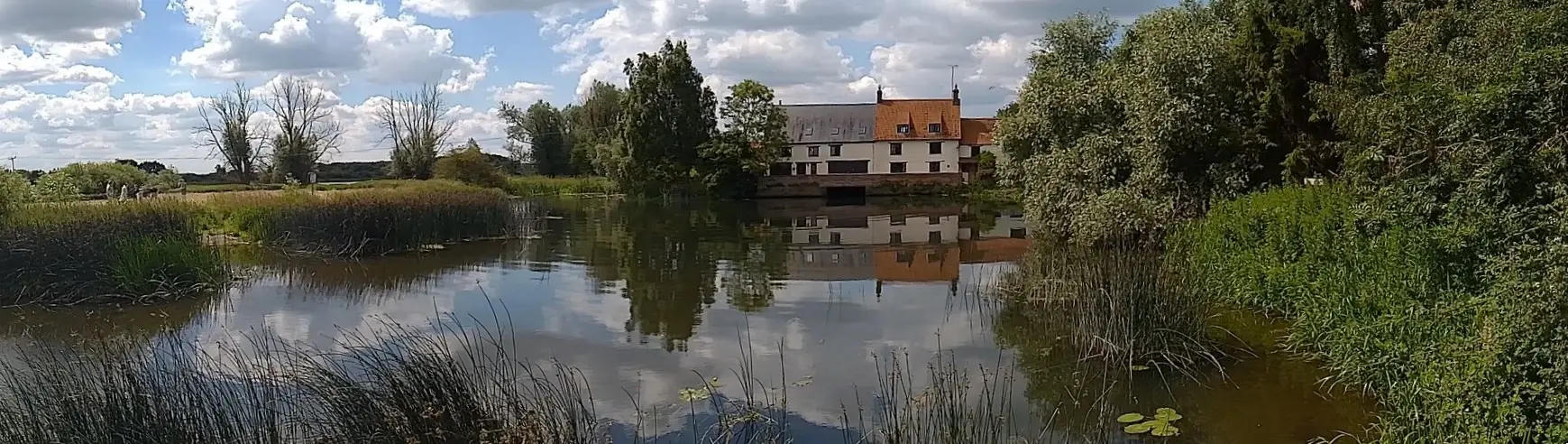 Mill pond level.webp
