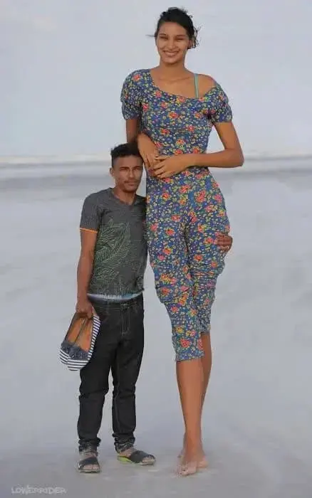 tall.webp