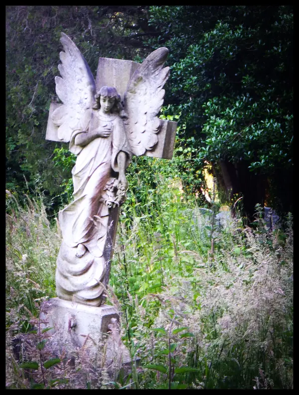 DSCF5879.webp