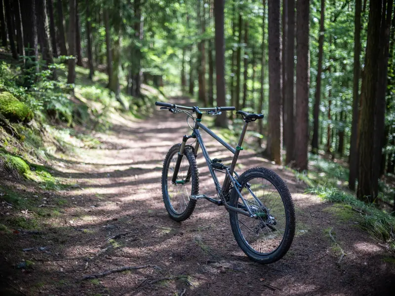 DSCF8431.webp