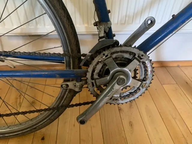 image1 (2).webp