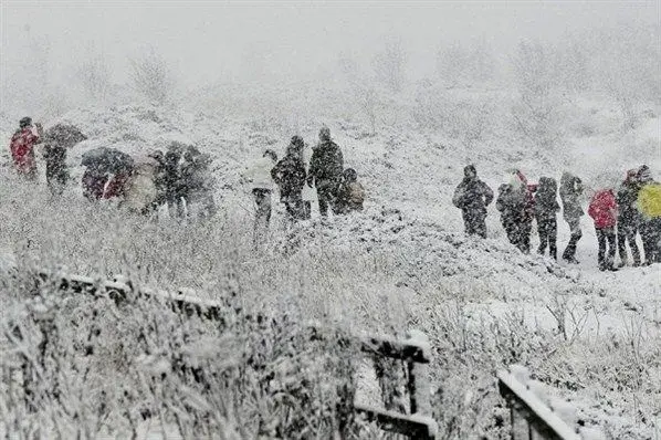 North York Moors Snow 24-11-10-2.webp