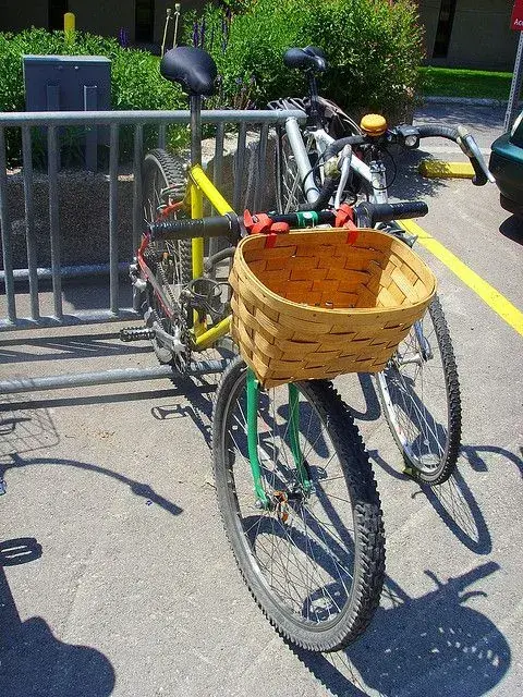Moots_3.webp