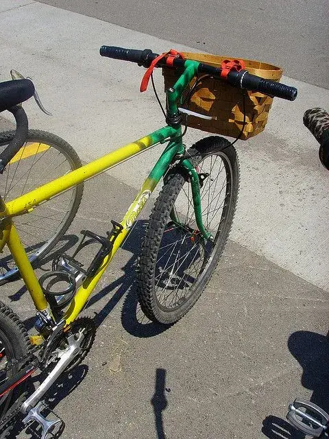 Moots_1.webp