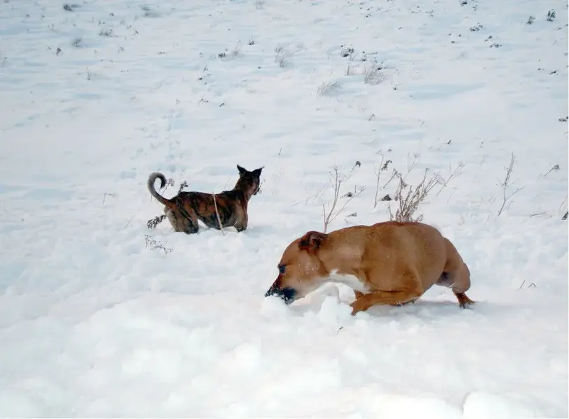 26-11-2010 12-45-21.webp