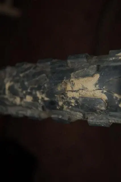 WTB_Velociraptors 004 (Small).webp