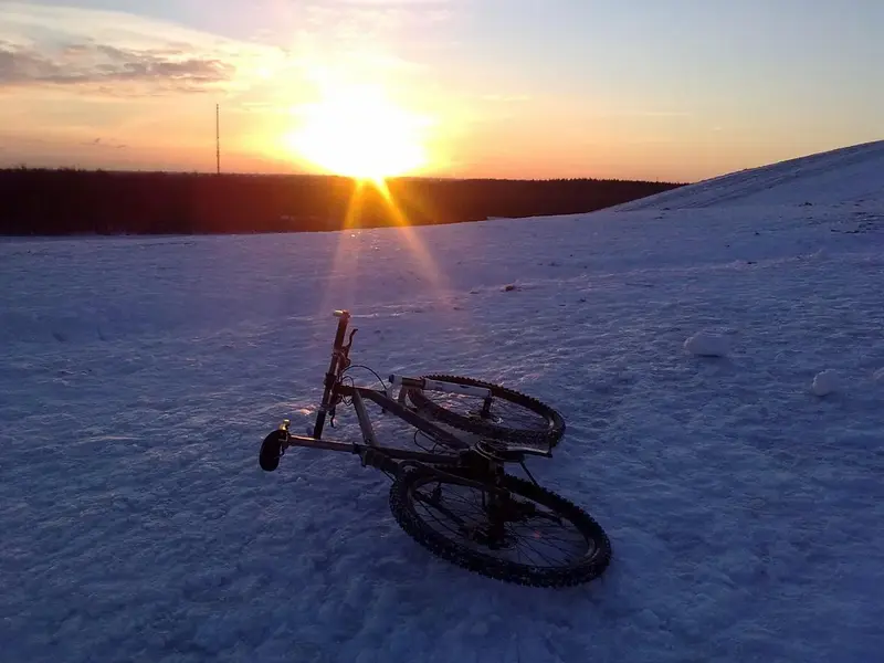 sne30112010149.webp
