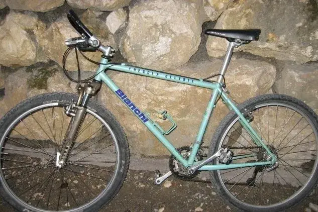 Bianchi.webp