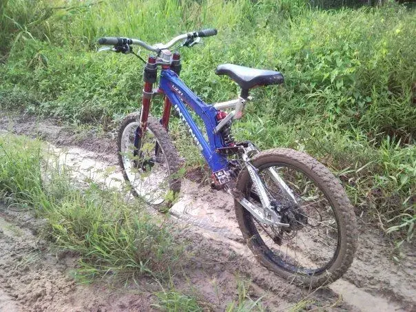n1050160670_30350088_217108.webp