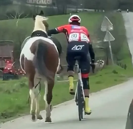 lars-daniels-runaway-horse-twitter~2.jpeg