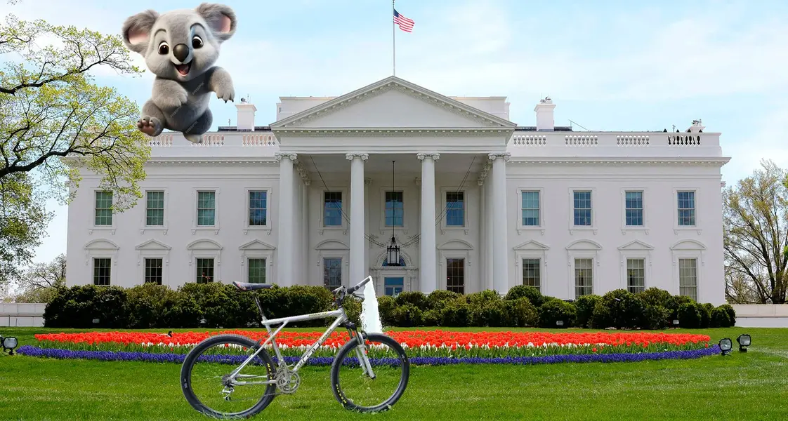 the-white-house.webp