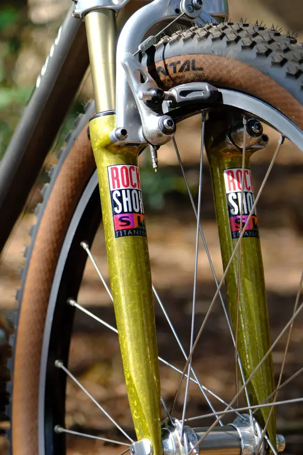 DSCF3855 2.webp