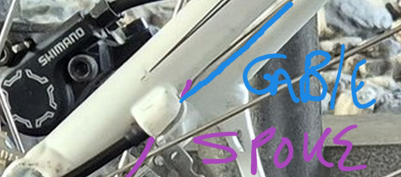 20240724_194713.webp