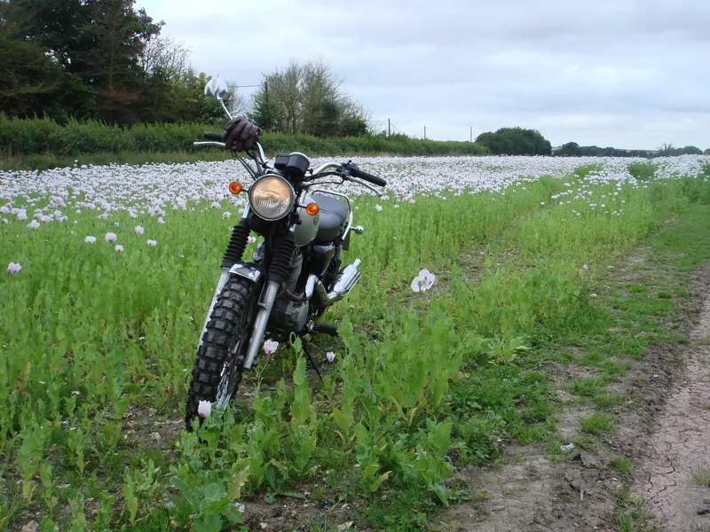 DSC01227.webp
