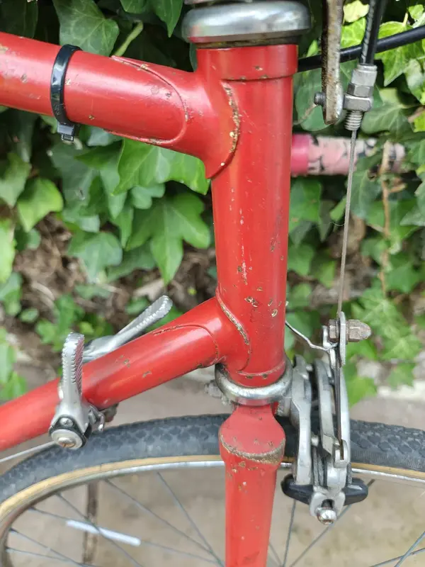IMG_20240619_163235027_HDR.webp