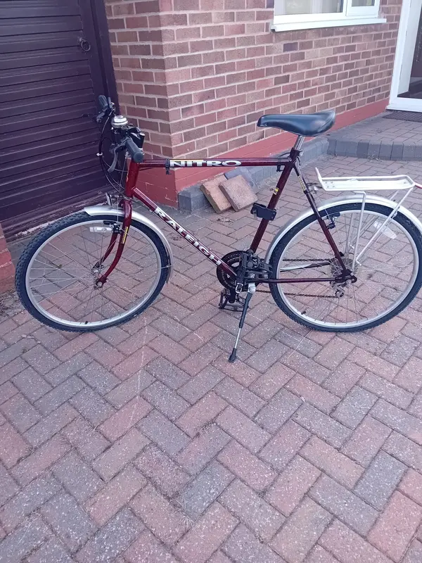 Raleigh Nitro Alpine Emmelle Retrobike