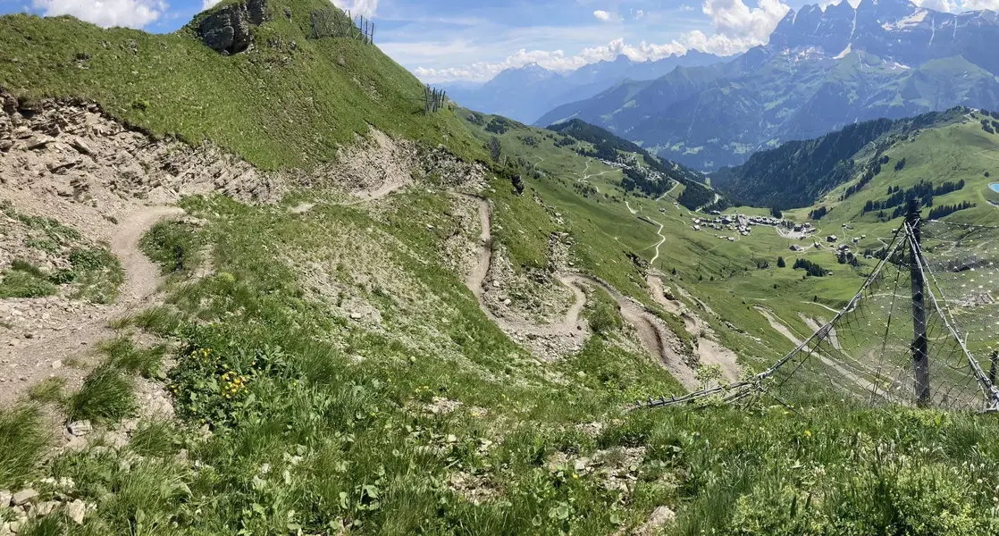 swiss national.webp