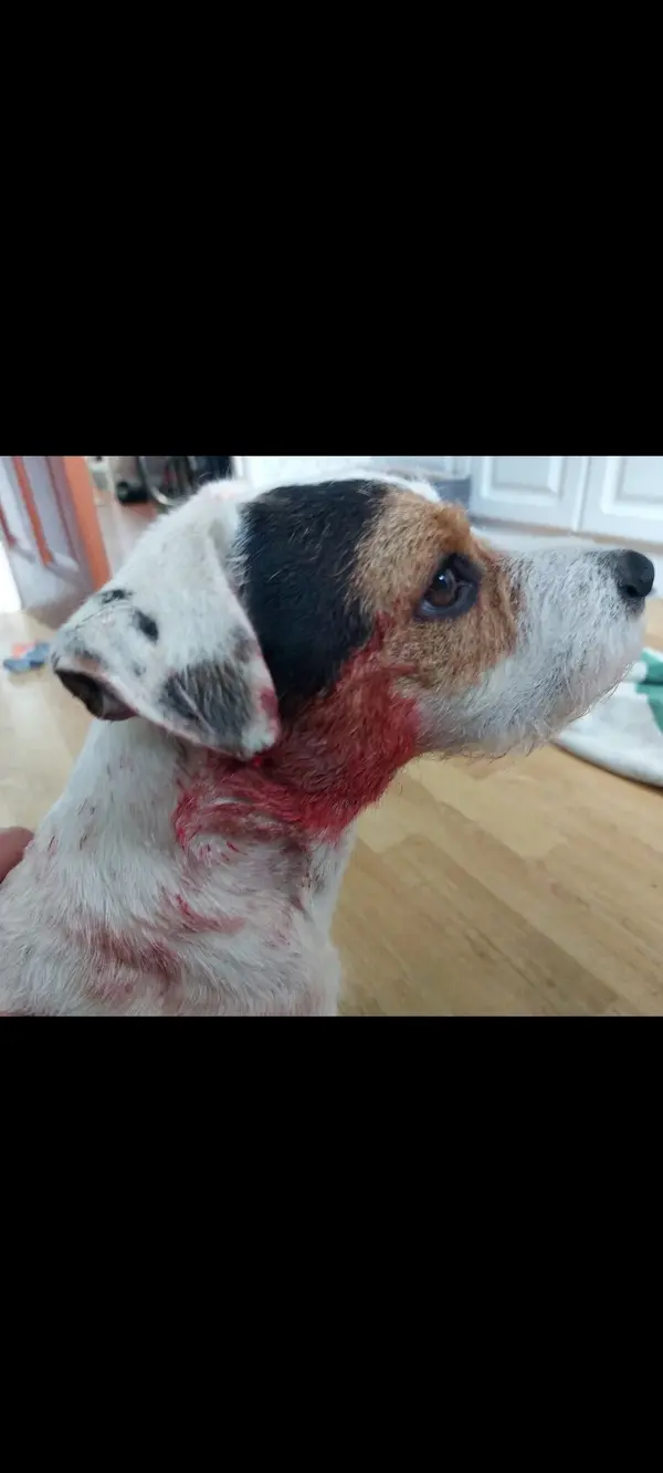Screenshot_20240803_121322_Gallery.webp