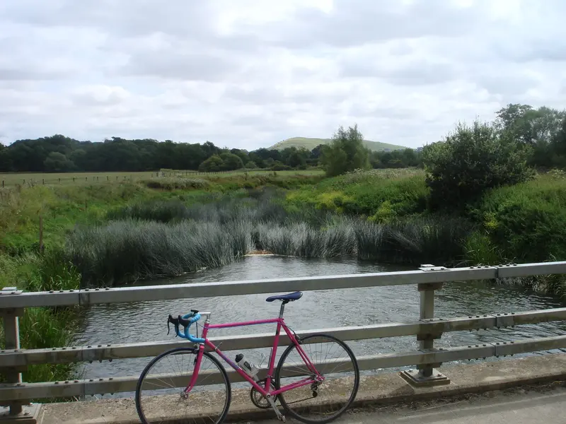DSC01236.webp