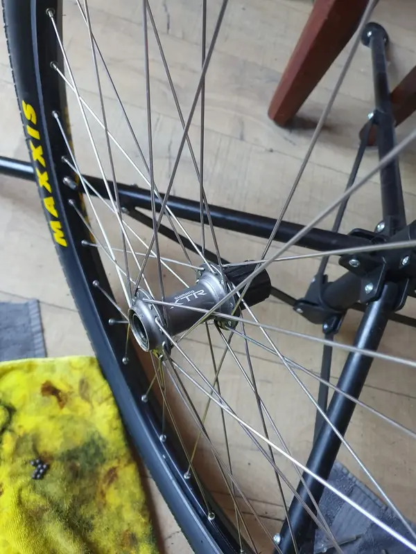xtr rear.jpg