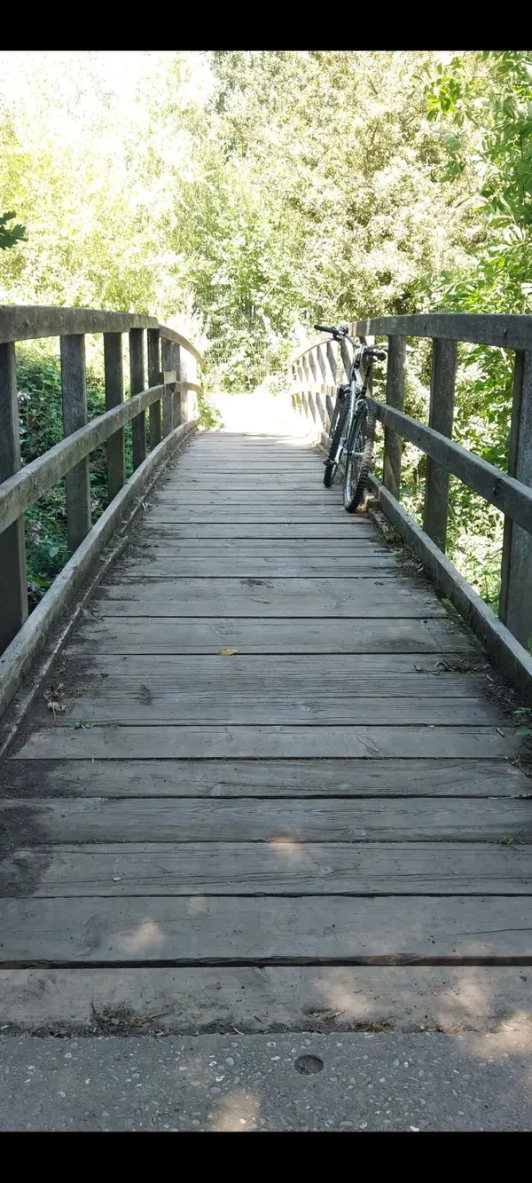 Screenshot_20240811_210338_Gallery.webp
