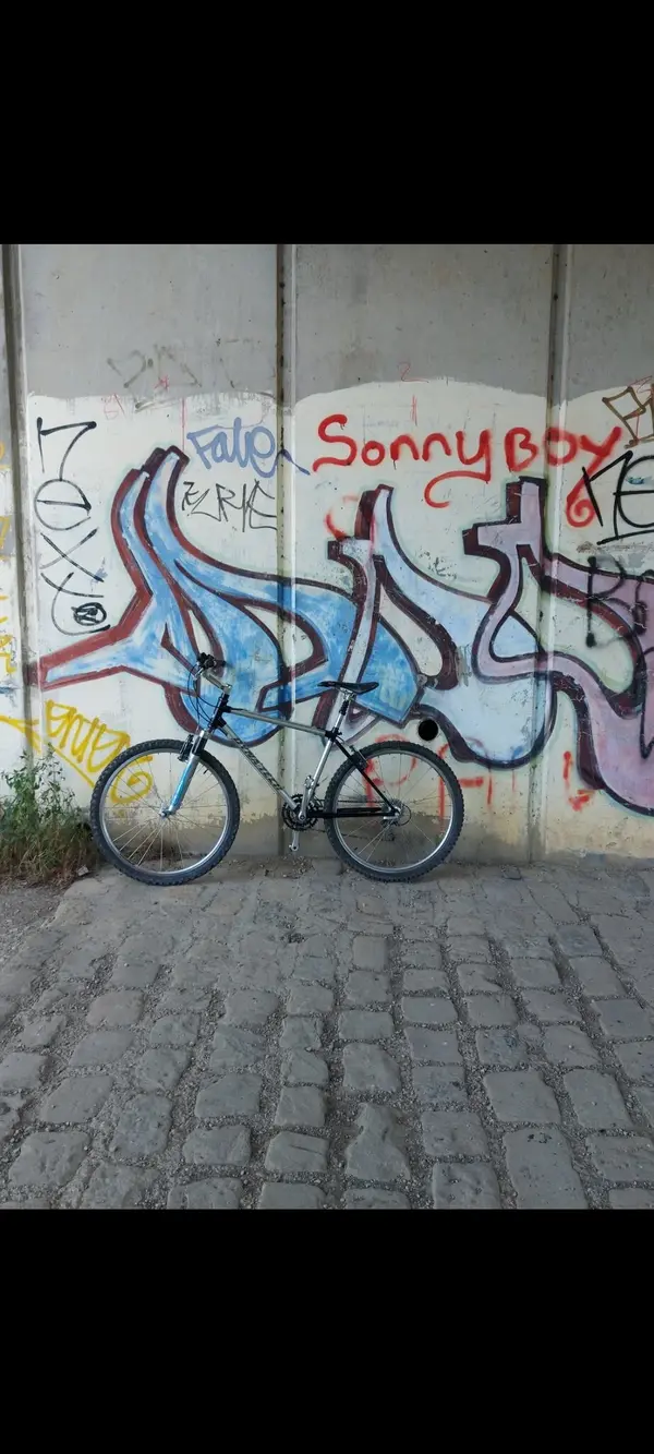 Screenshot_20240811_210352_Gallery.webp