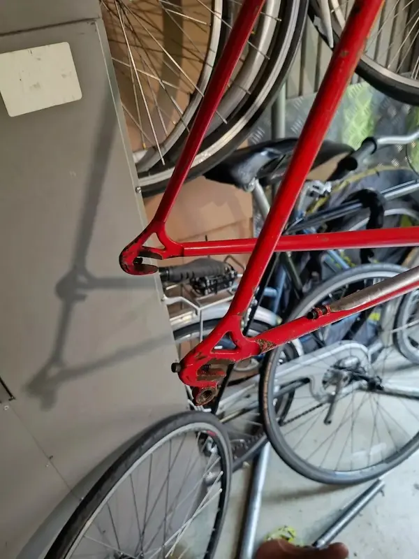 s-l1600 (3).webp
