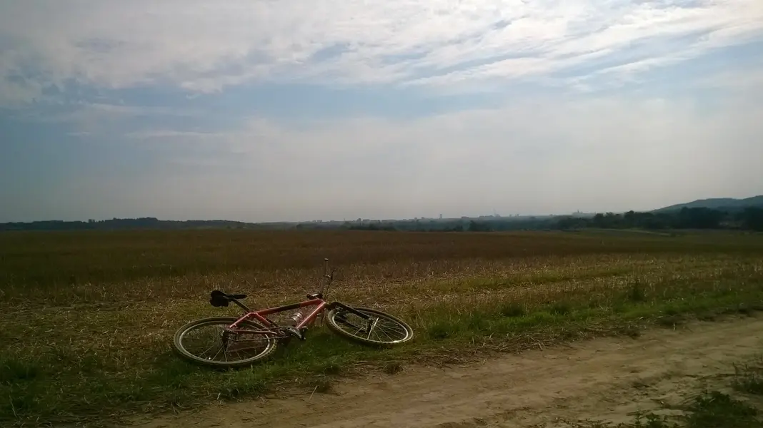 WP_20240815_006.webp