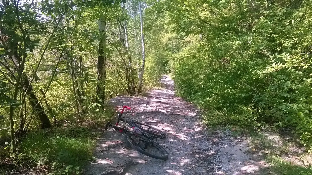 WP_20240816_016.webp