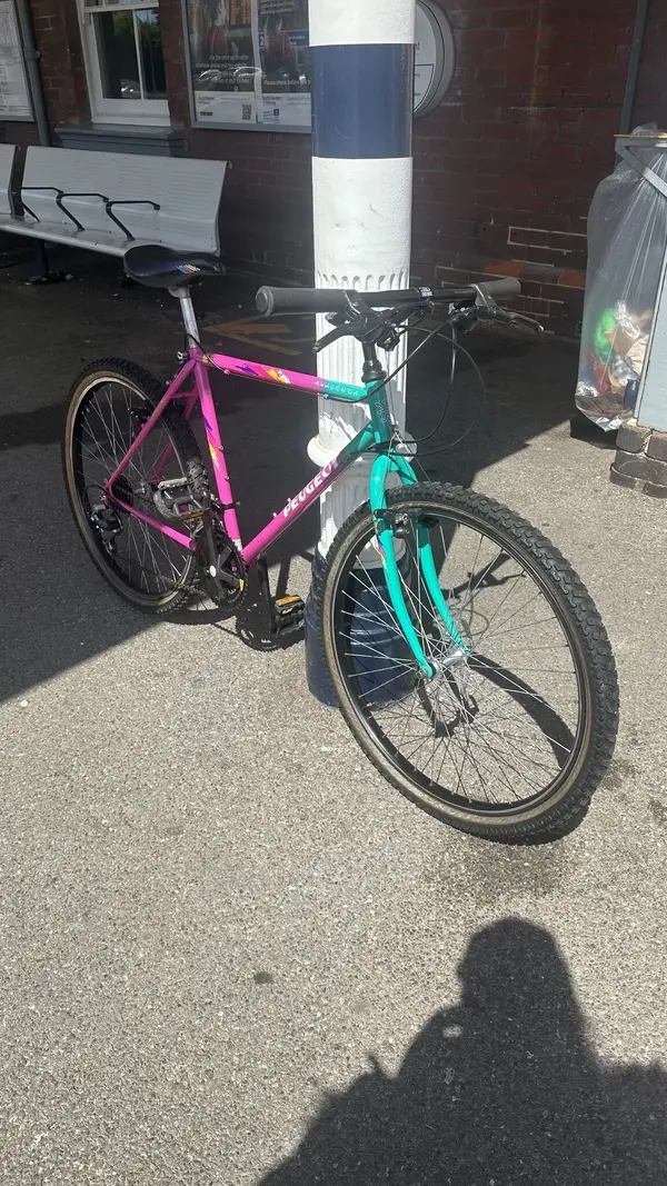 Peugeot Anaconda Retrobike