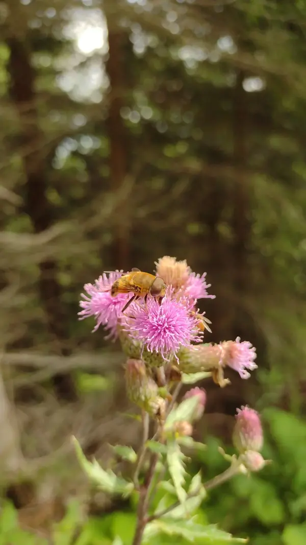 IMG_20240821_113444.webp