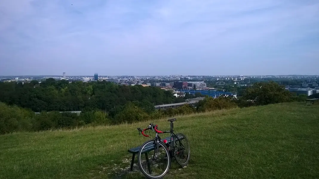 WP_20240825_004.webp