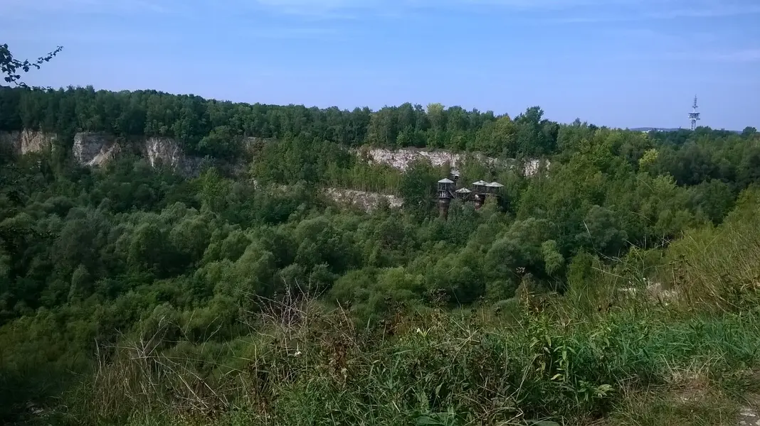 WP_20240825_009.webp