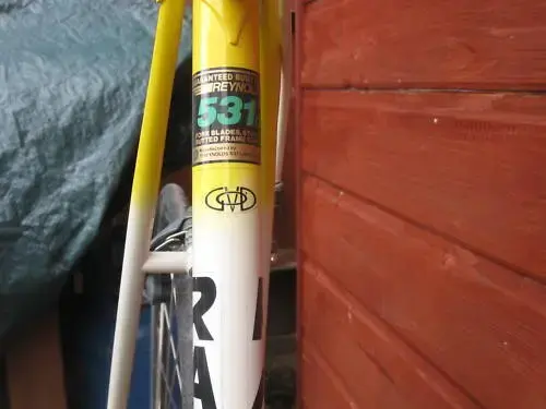 531c Race 2.webp