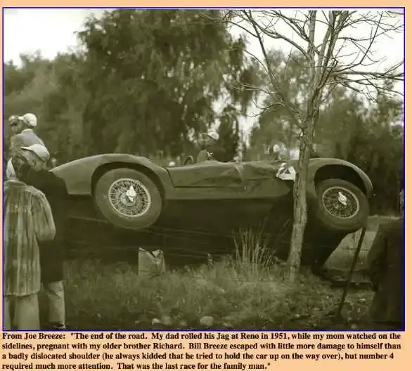 Bill Breeze Jagwreck-1.webp
