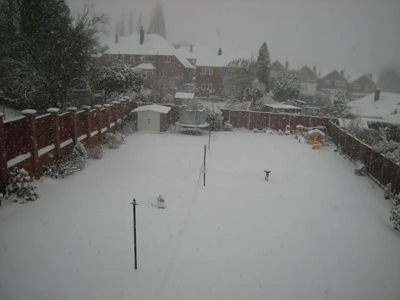 Snow2.webp