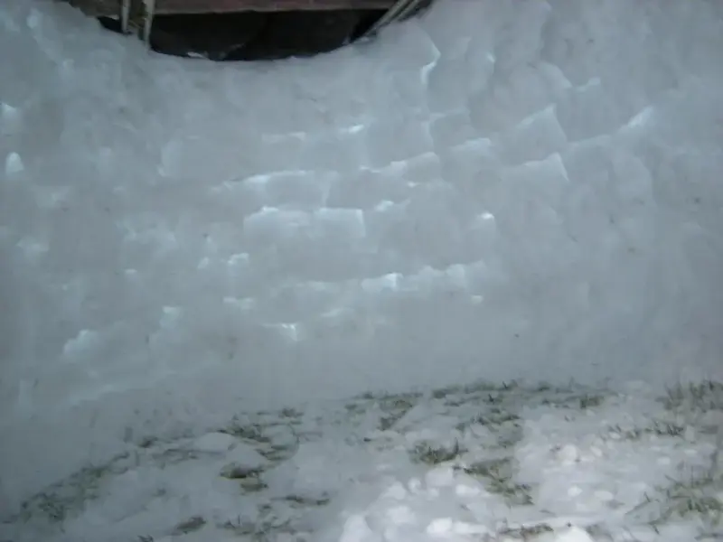 Igloo2.webp