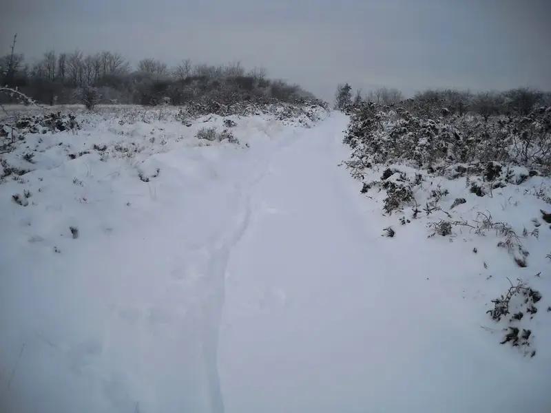 DSCN0508.webp